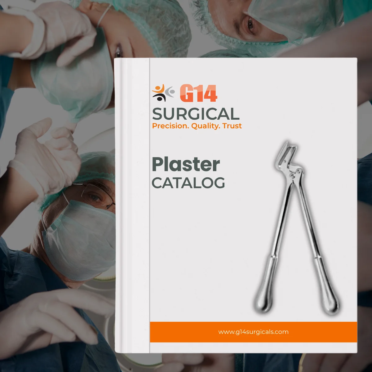 Plaster Catalog